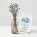 Modern Simple Flower Vase for Home Decor